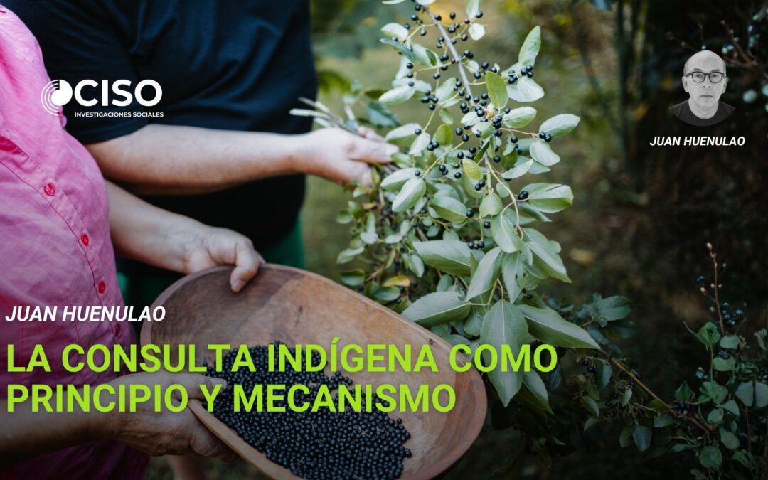 La consulta indígena como principio y mecanismo